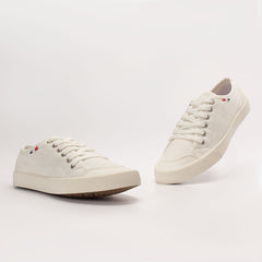 BANDY-11224