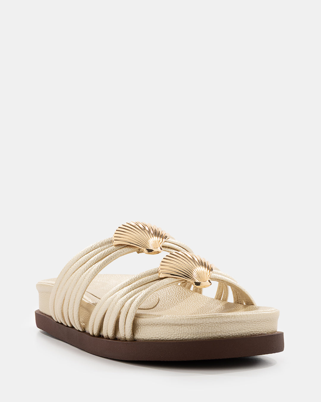 CONCHA - 20385