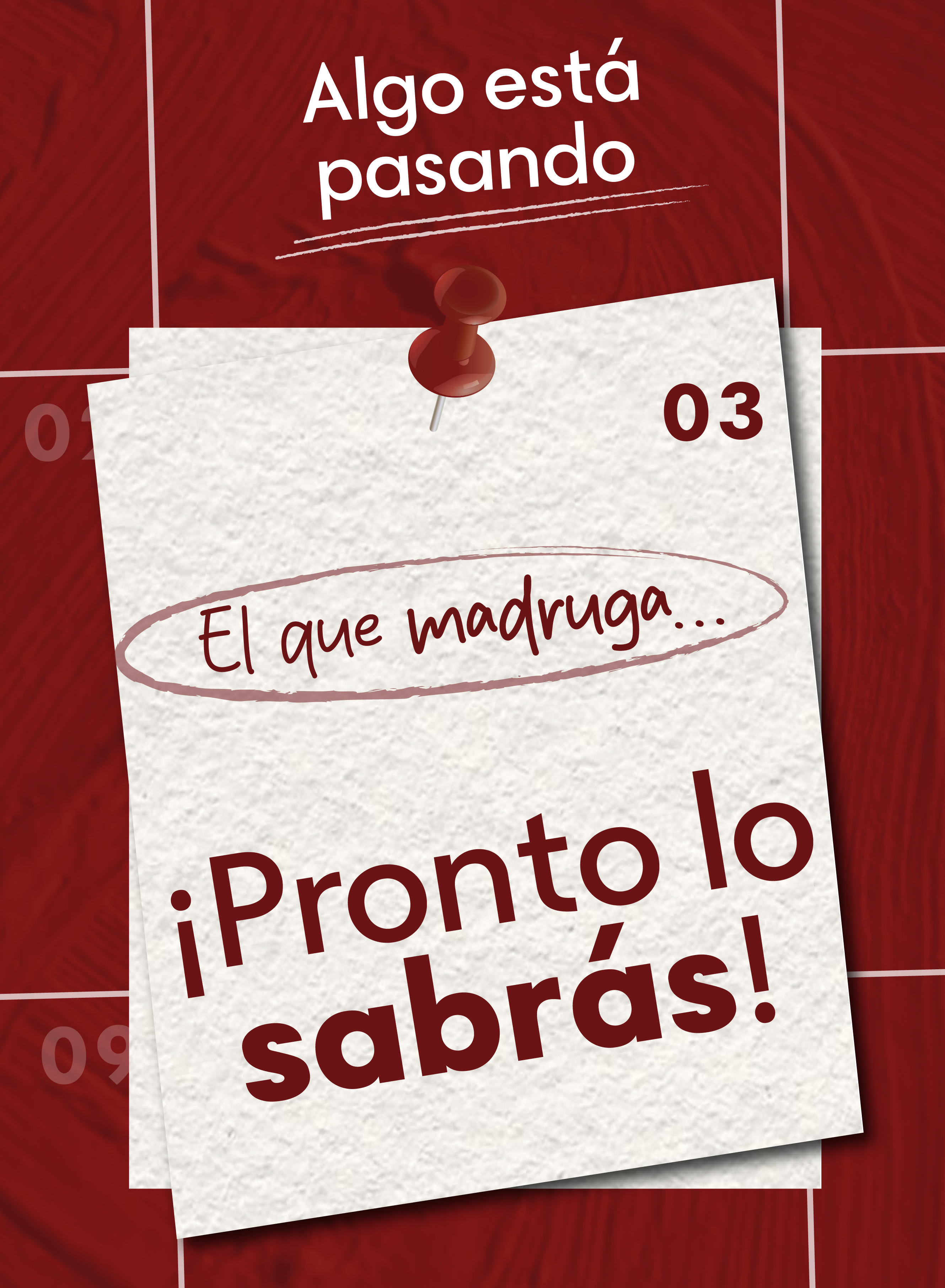 Calzado Bona